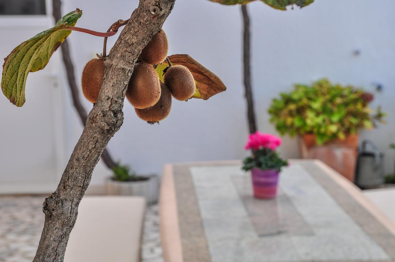 Apartament Toska